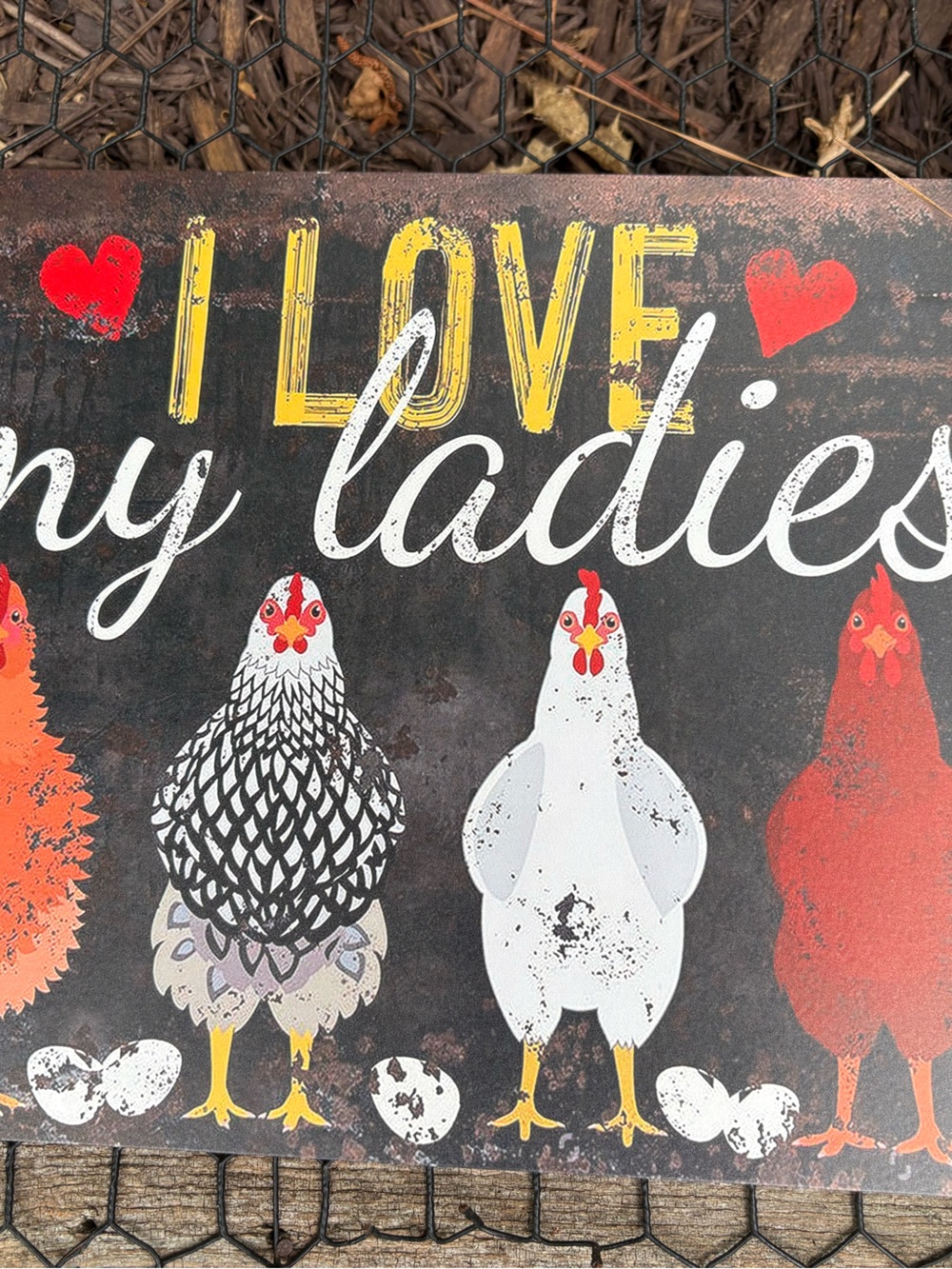 I Love My Ladies Chicken Sign - Multi-Color